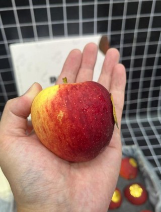 红富士苹果和富士山有关系吗，苹果和红富士有什么区别?