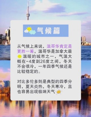 多伦多笔记本电脑推荐？多伦多笔记本电脑推荐品牌