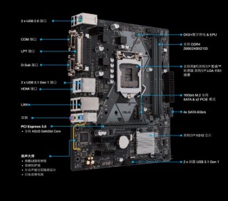 h310主板支持什么显卡，h310m主板支持什么显卡