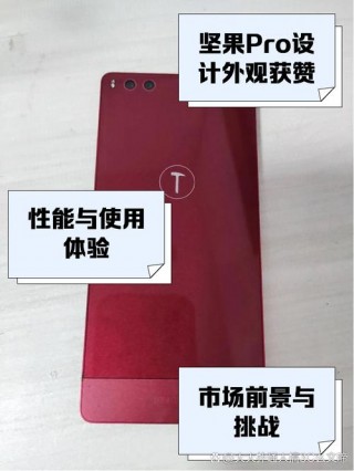 锤子坚果pro2是什么屏幕，锤子 坚果 pro 2