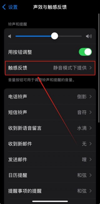 苹果铃声静音怎么消除，苹果铃声静音怎么关