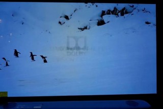 笔记本有oled屏幕吗，笔记本有lcd屏吗