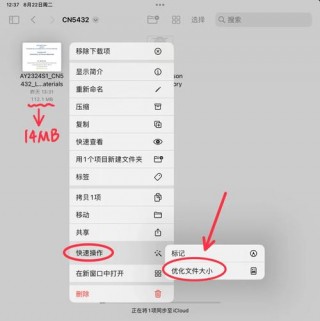 pdg文件在ipad怎么打开，pdg 文件？