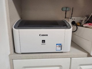 佳能2900尺寸？佳能2900参数