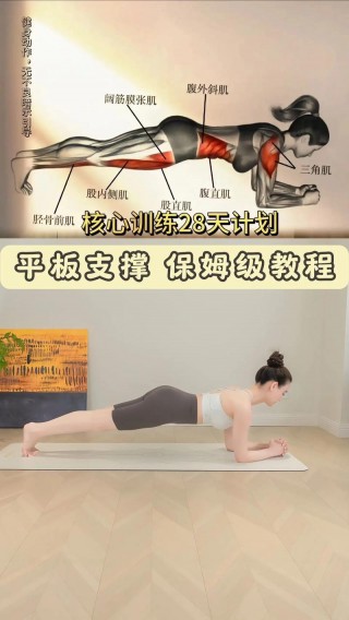 平板支撑正确姿势和方法，平板支撑正确姿势和方法图片？