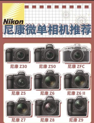 尼康d2h与d2x区别，尼康d2x和d3x