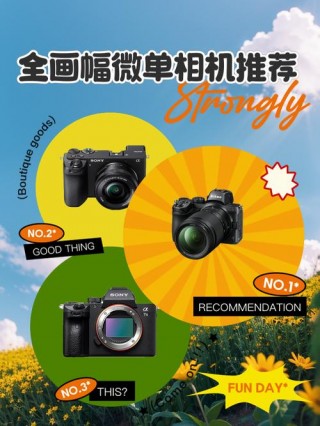 全画幅单反和微单哪个画质好，全画幅和微单全画幅有什么区别？