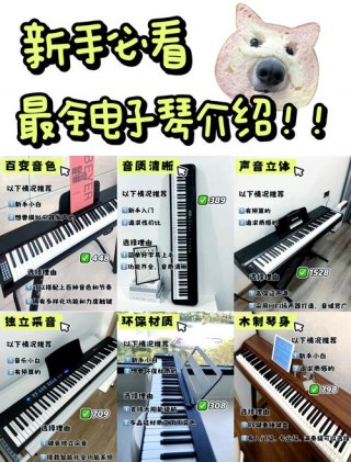 键盘乐器和钢琴的区别，键盘乐器和钢琴的区别图片？