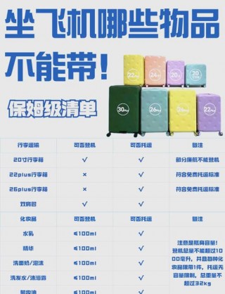 笔记本电脑上飞机要求，笔记本上飞机的要求？