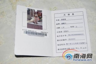 芯片是什么东西起什么作用，芯片是什么简单说？