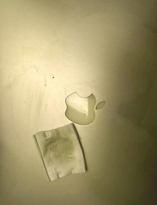 如何清洁笔记本电脑的灰尘-步骤图文详解