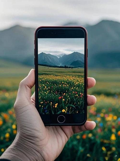 什么手机照相比较好