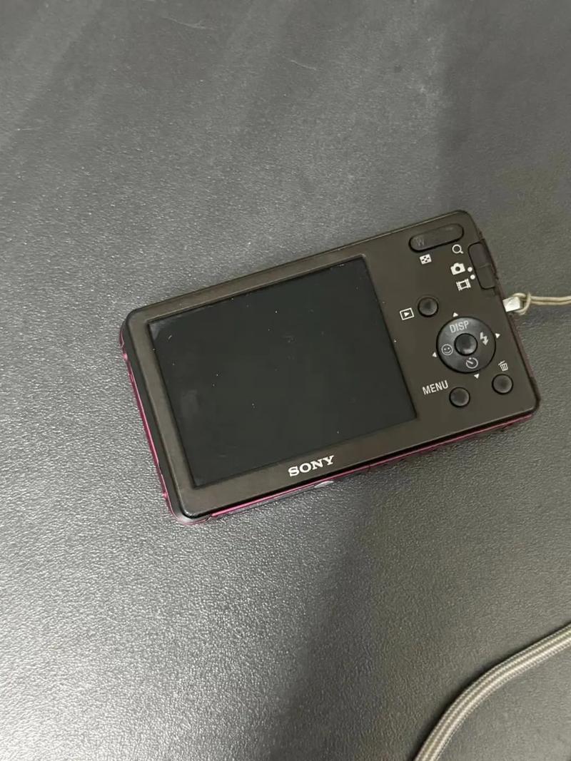 索尼W310主要性能