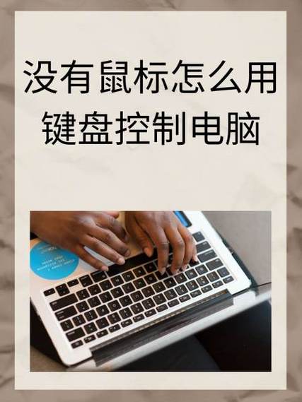 电脑正常启动,但键盘鼠标没反应,是什么原因?