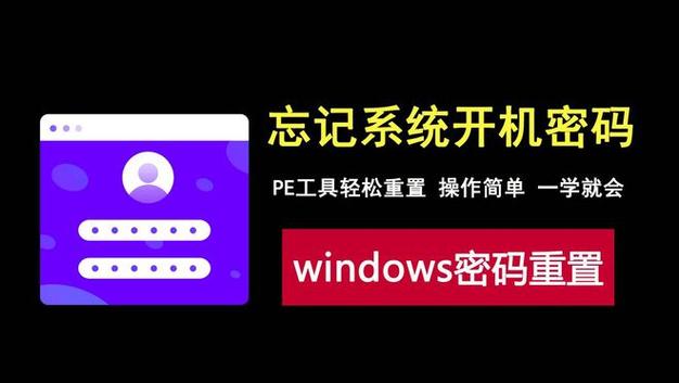 电脑登录密码忘了怎么重置密码