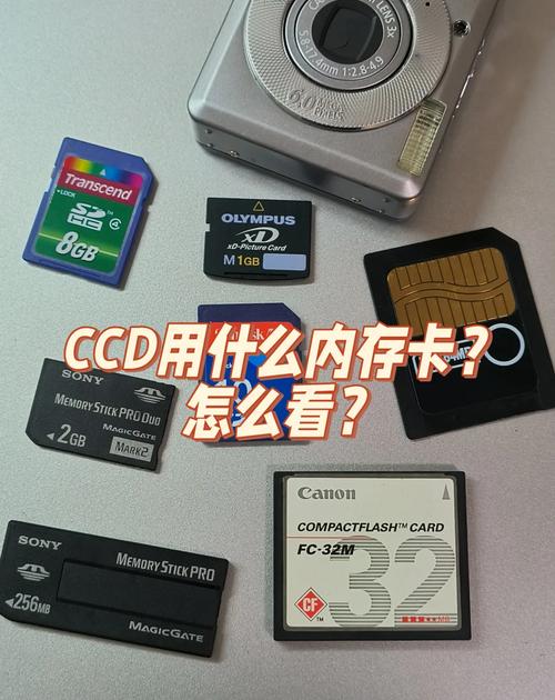 SONY--T5数码相机内存卡多少钱?