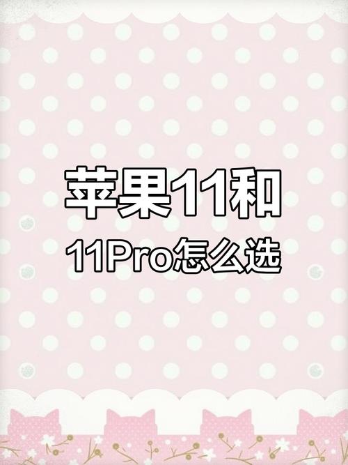苹果11和苹果11pro屏幕一样大吗