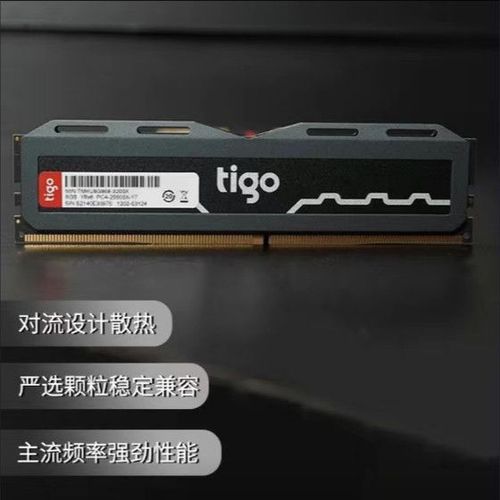 【2024内存怎么选】金泰克(Tigo)的内存条怎么样?——内存条推荐
