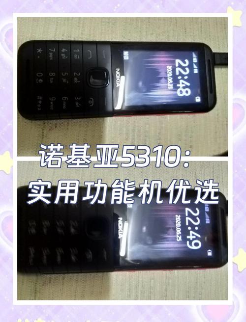 诺基亚5310数据应用功能