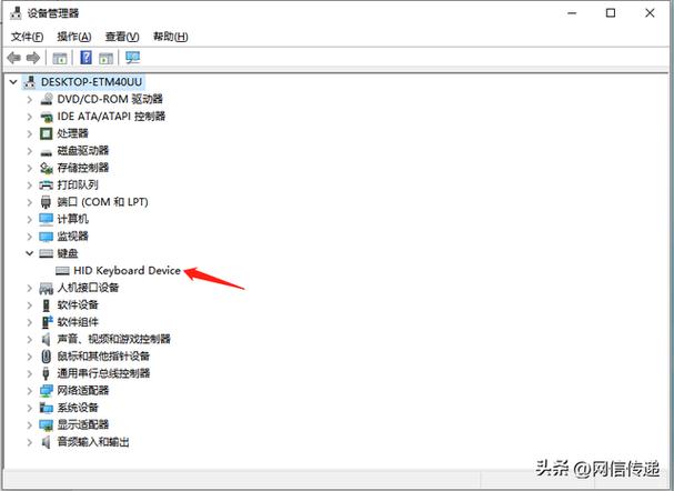 为什么我联想笔记本键盘打不出字来?
