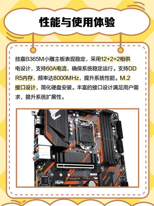 b365m支持什么显卡