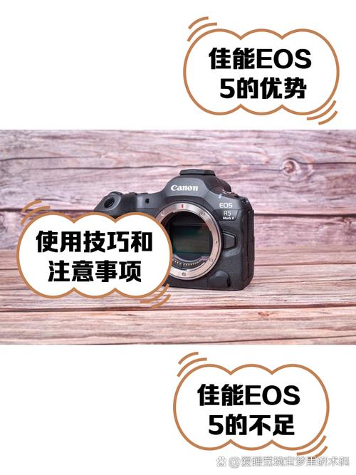 佳能5d如何切换取景框和显示屏