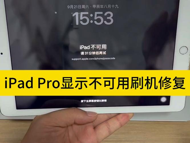 为什么我的ipad不能屏幕镜像到iPhone上啊?