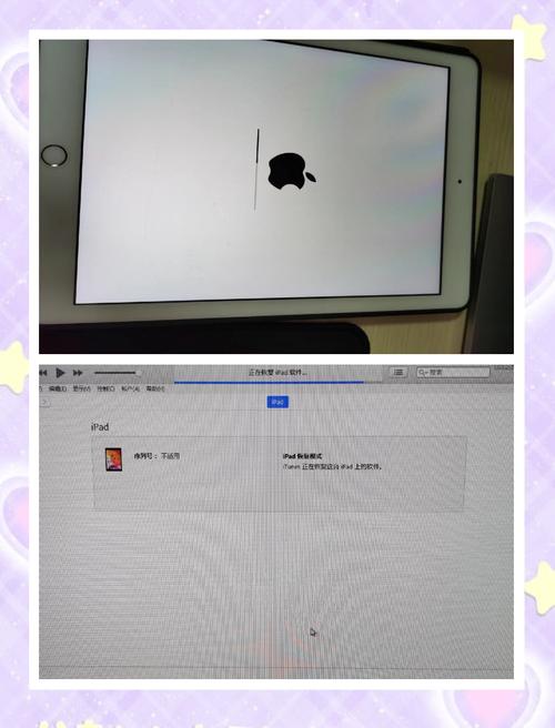 为什么我的小米电视投屏不了屏幕镜像功能?