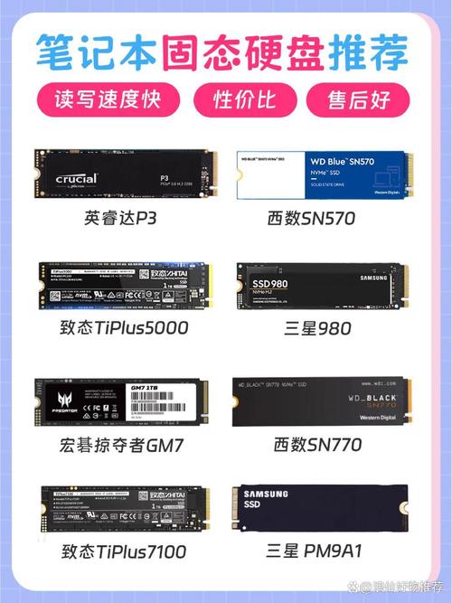 笔记本固态硬盘哪个牌子性价比高