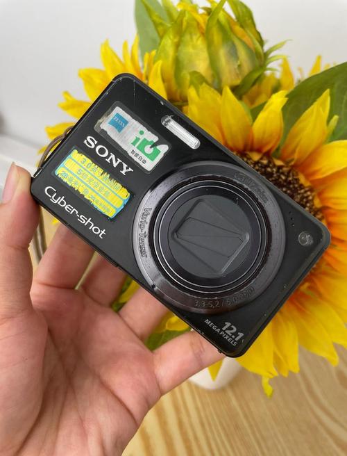 富士z81数码相机需要安内存卡吗