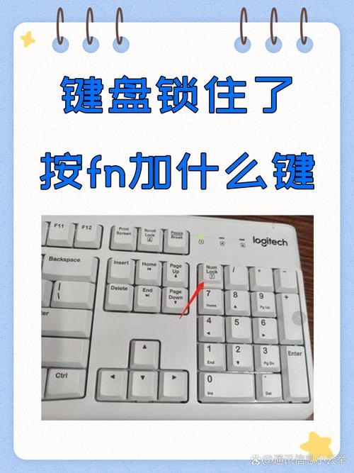 为什么我的键盘被锁住了???