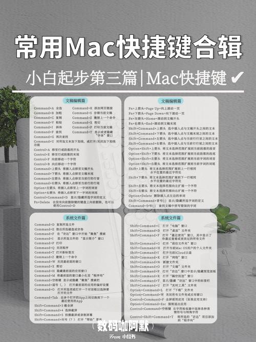 苹果笔记本关机快捷键_苹果笔记本关机快捷键?