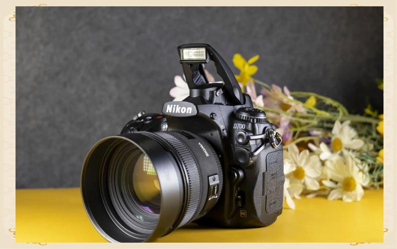 尼康d700是社么级别的相机?