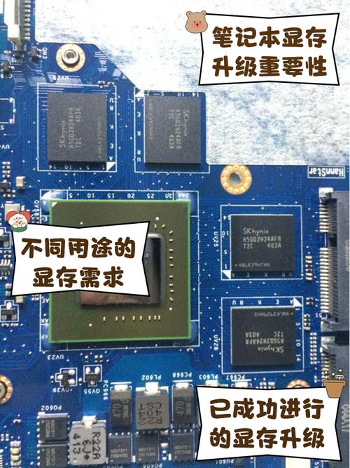 显卡的显存容量一般正常多大