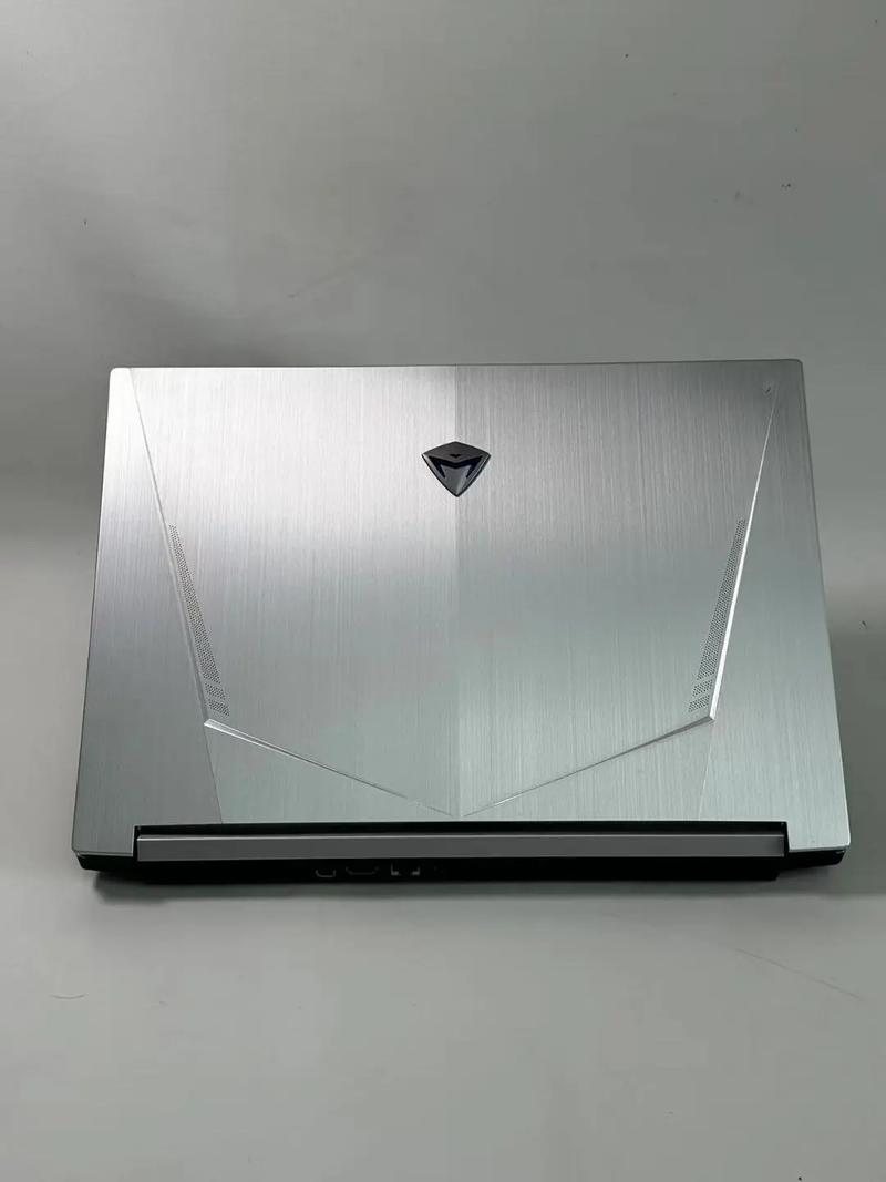 你们帮我看一下,机械师笔记本有这个型号吗?为什么淘宝上这么便宜