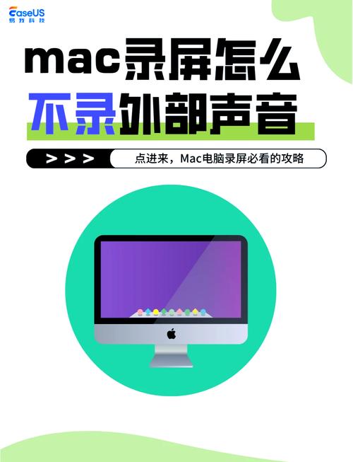win11录屏怎么不录外部声音
