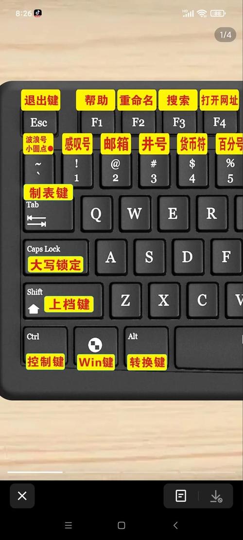 戴尔笔记本f1到f12功能键怎么关闭