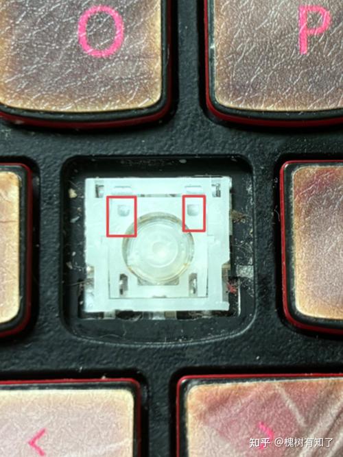 笔记本键盘的按键可以扣下来吗?