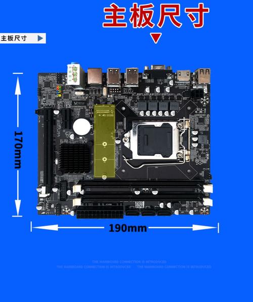 H55主板支持什么内存