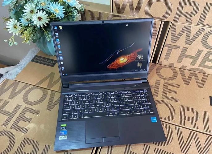 神舟天运Q2000d3可以换显卡吗?谁了解?