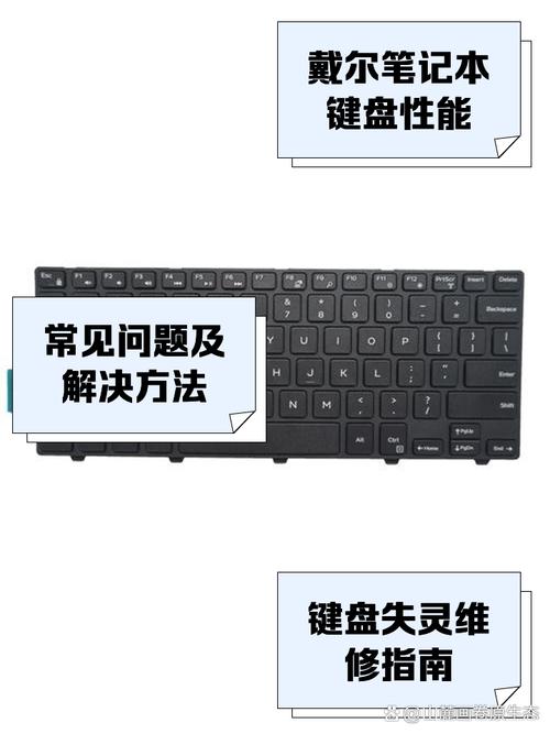 戴尔一体机电脑小键盘怎么开启