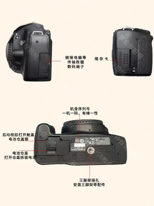 佳能500D怎么用屏幕取景??