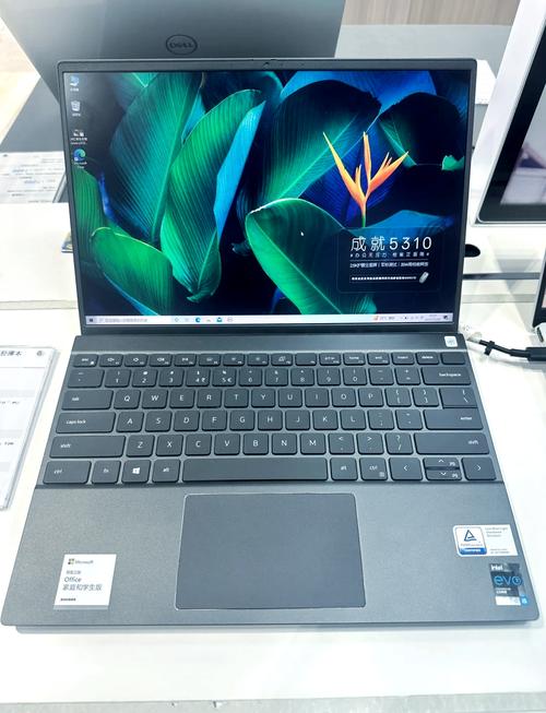 5000左右独显笔记本