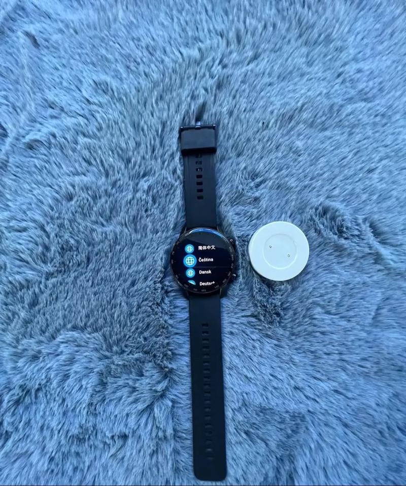 watch2和gt2有什么区别