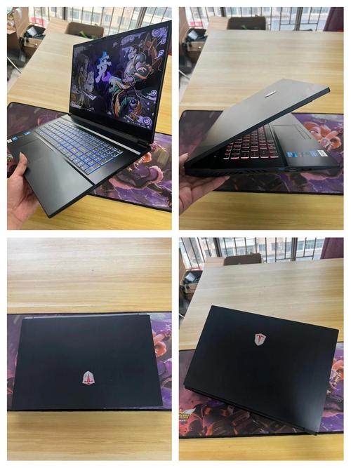 神舟,七彩虹,爱尔轩,海鲅,哪个性价比比较高?