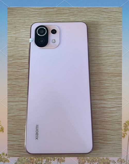 小米11青春版是什么屏幕_小米11青春版是屏幕指纹吗