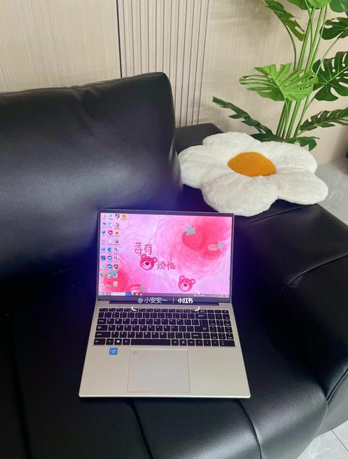 我想购买一台二手的笔记本电脑,费用大约在2000元左右,请问买什么样的好...