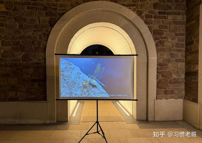 有没有适合旅行的便携大屏