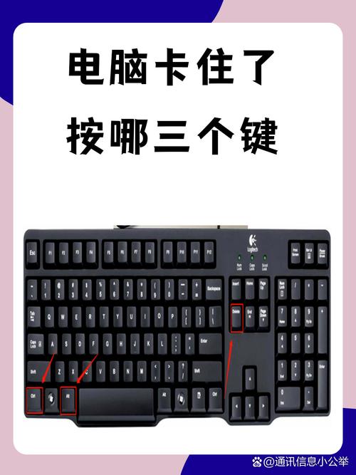 苹果电脑卡住了按什么键都没用