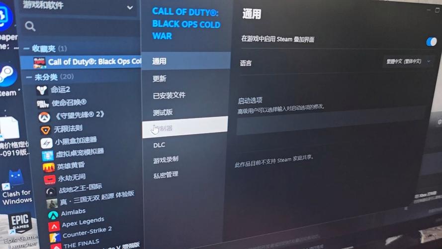 使命召唤17黑色行动冷战游戏的配置要求怎么样_游戏配置要求一览